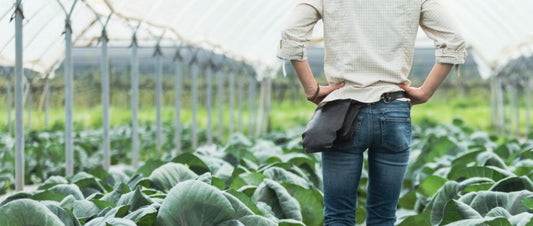 Le logo : un repère essentiel pour les artisans et commerçants de proximité